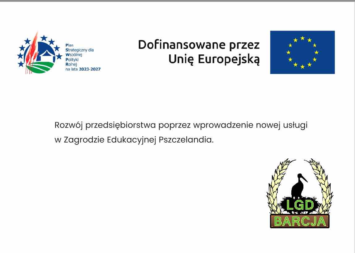 Slide 13