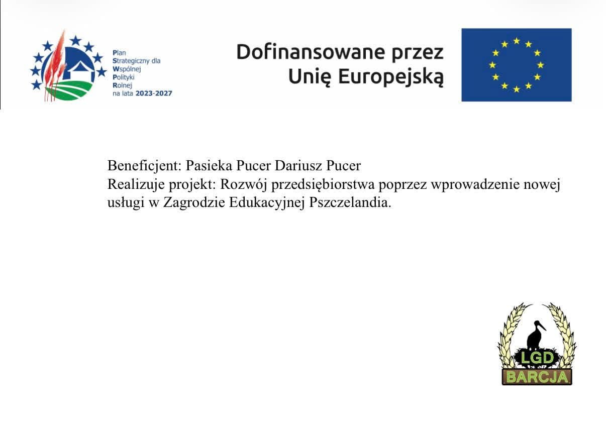 Slide 12
